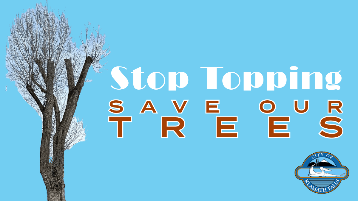 Topped tree flyer_small