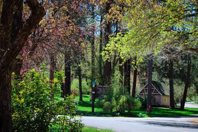 Building and trees at Moore Park