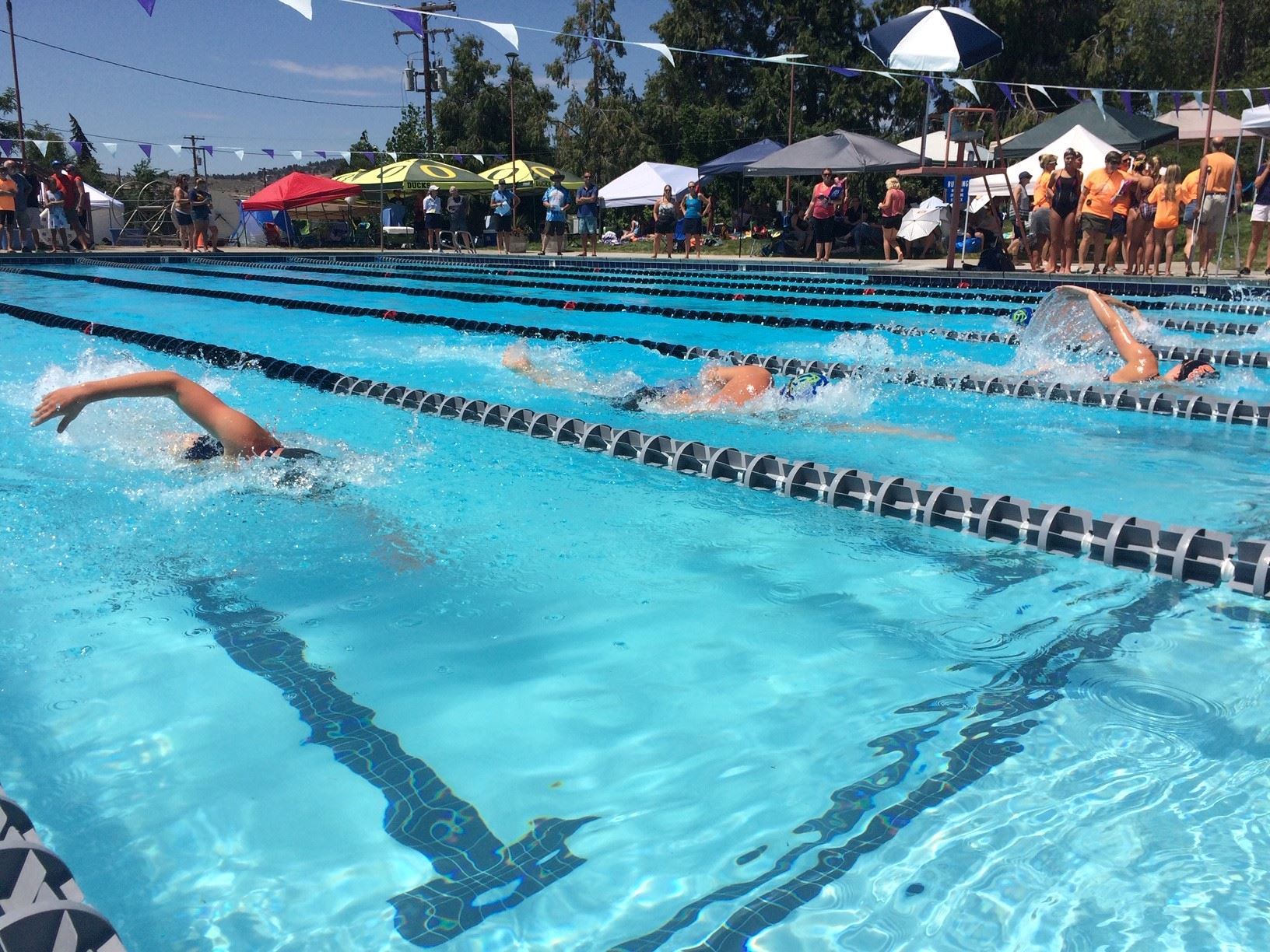 children swimming in pool