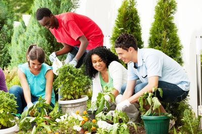 People Planting Garden Klamath Falls Meth Problem is a Thing of the Past